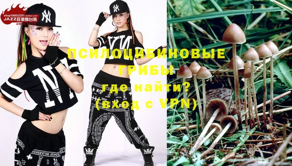 дживик Навашино