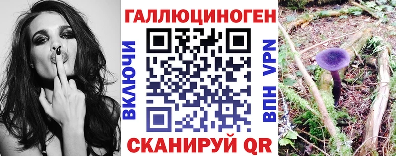 Псилоцибиновые грибы GOLDEN TEACHER  купить наркотик  Ялуторовск 